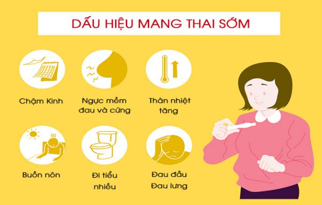 Kinh nghiệm Lưu Ý Quan Trọng Khi Mang Thai Lần Đầu Mà Mẹ Bầu Cần