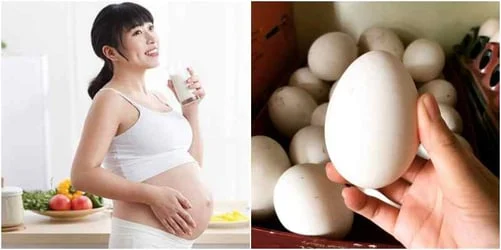 mẹ bầu ăn trứng ngỗng khi mang thai